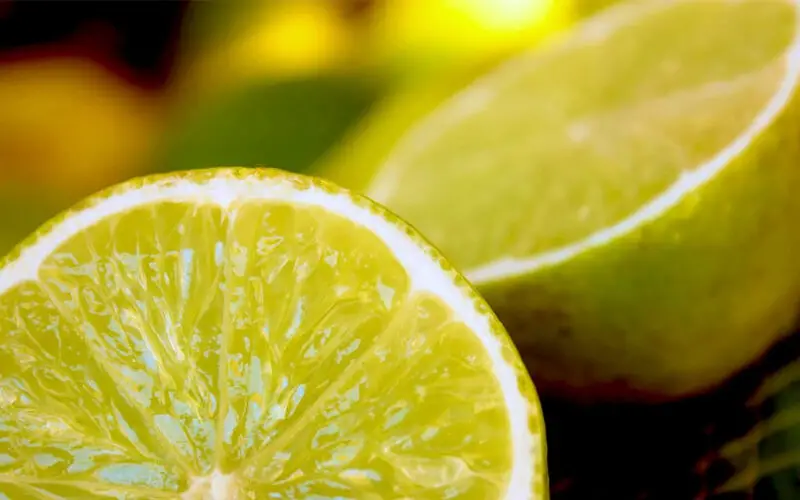 Benefícios de comer limão